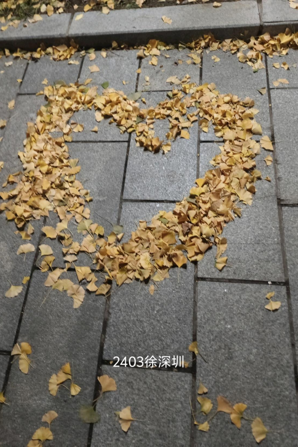 a648c88aada34d4fb89b53f244fcbba4.png